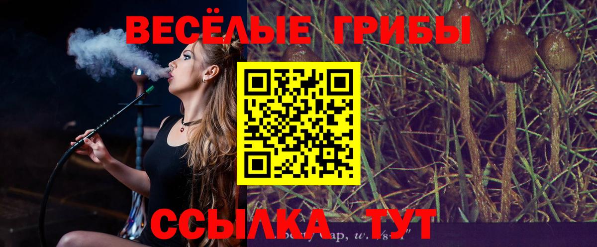 Псилоцибиновые грибы мицелий  Галлюциногенные грибы Psilocybine cubensis  продажа наркотиков  Михайловск  Вход с VPN 